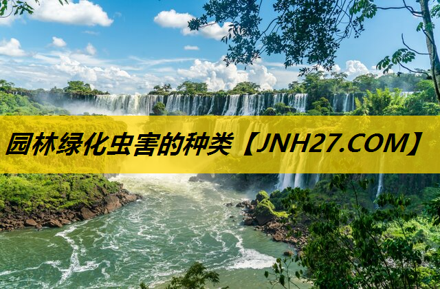 园林绿化虫害的种类