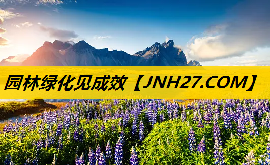园林绿化见成效