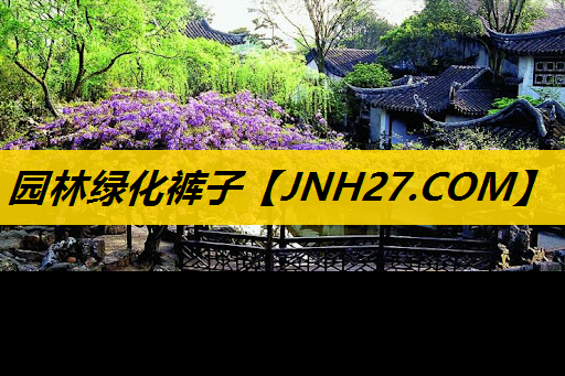 园林绿化裤子
